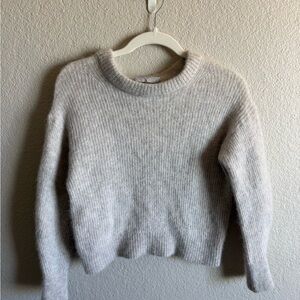 Everlane Alpaca Sweater - Cozy Natural Minimalist Light Gray Cropped Sweater
